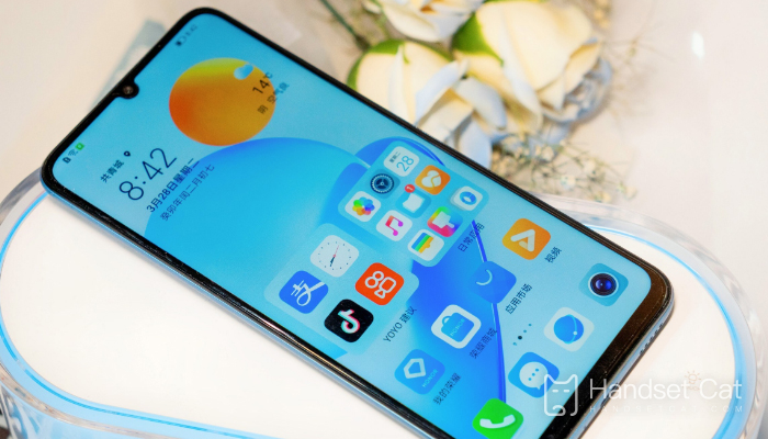 Can Honor Play7T take dynamic photos
