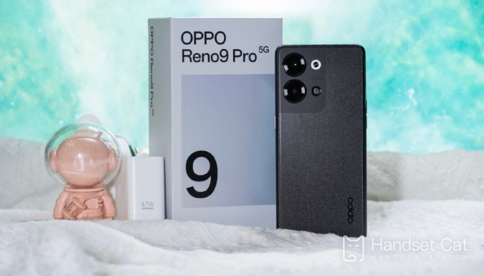 What if OPPO Reno9 Pro does not display the takeout progress