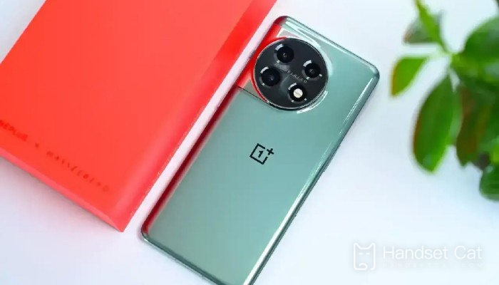 Que dois-je faire si mon OnePlus 11 est connecté au WiFi mais n'a pas de réseau ?