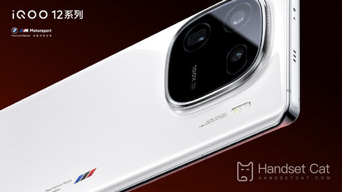 Realme GT6와 iQOO 12 Pro 간의 매개변수 비교