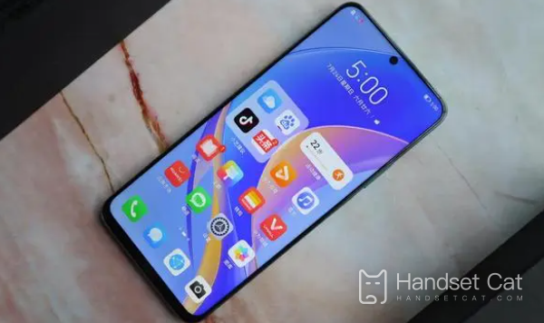 O Huawei Enjoy 50 Pro é uma interface USB tipo C?