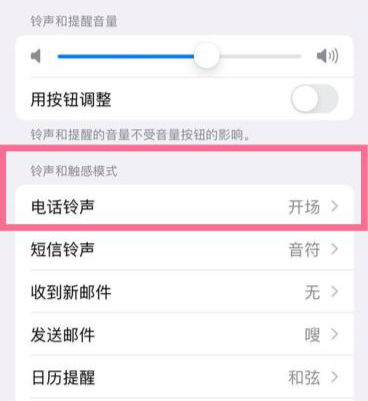 Apple 15pro에서 사용자 정의 알람 벨소리를 설정하는 방법