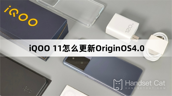 Cómo actualizar OriginOS 4.0 en iQOO 11