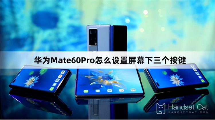 Comment régler les trois boutons sous l'écran sur Huawei Mate60Pro