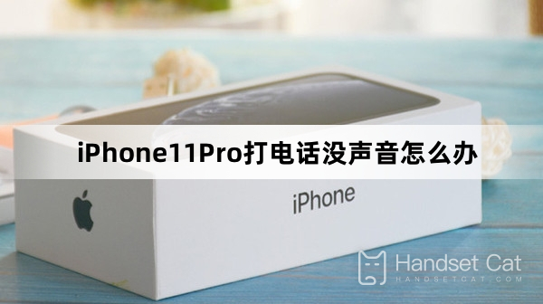 What to do if there is no sound when making calls on iPhone 11 Pro