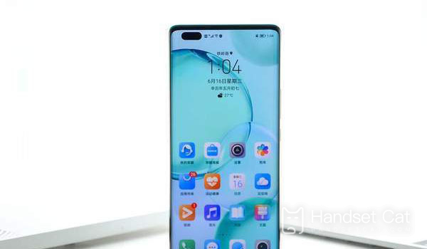 Hướng dẫn truy vấn mô hình cục bộ Honor 50 Pro