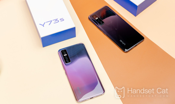 vivo Y73tのメモリ使用量を確認する場所