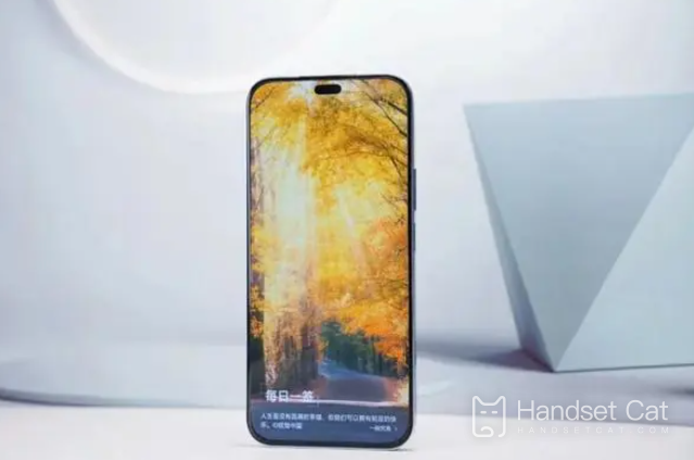 What kind of screen is Honor X60i?