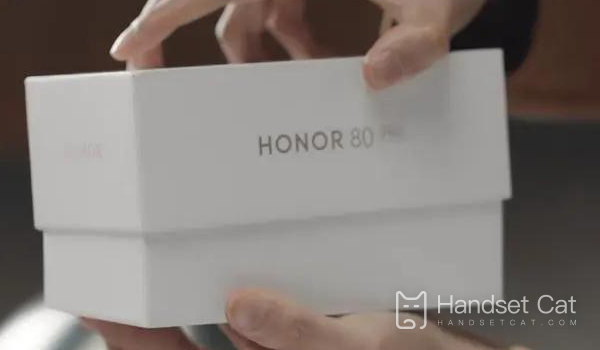 Einführung in die Bildschirmauflösung von Honor 80