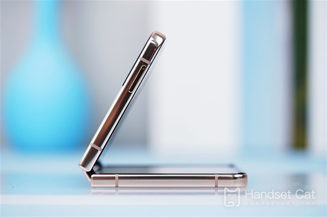 Samsung Galaxy Z Flip4의 화면 해상도는 얼마입니까?