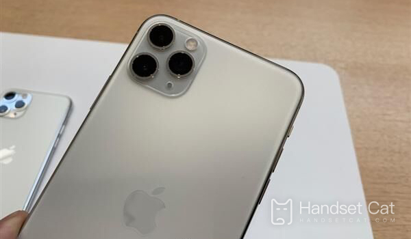 iPhone 11 Pro Max有沒有屏幕指紋識別