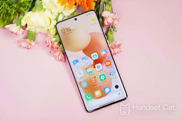 Does the Xiaomi Civi 1S screen support high refresh rates?