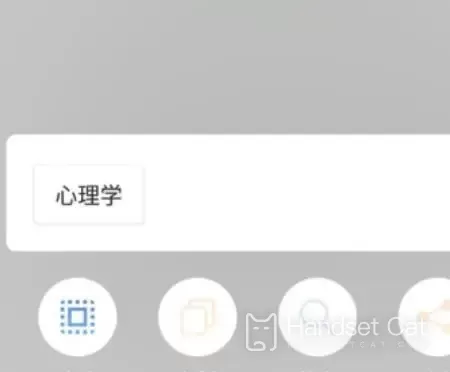 Meizu 18X Extract Chinese Characters