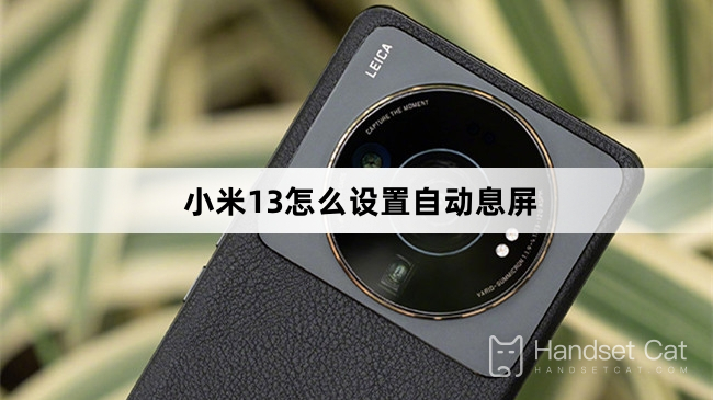 Xiaomi Mi 13 पर ऑटोमैटिक स्क्रीन रेस्ट कैसे सेट करें