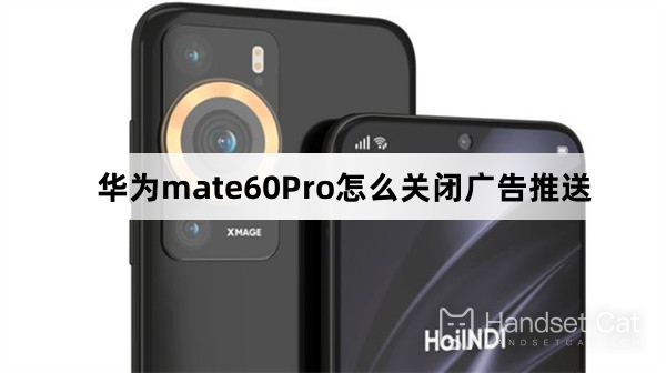 Huawei mate60Pro에서 광고 푸시를 끄는 방법