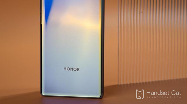 What is the screen resolution of HONOR 60 SE?