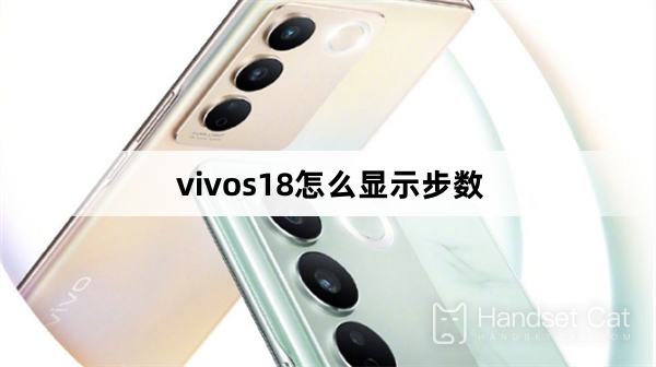 vivos18怎麼顯示步數