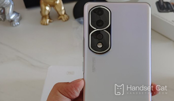 В чем разница между Honor 80 Pro и Xiaomi Mi 13 Pro?