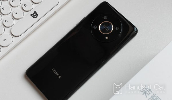 Honor X30 ローカル モデル クエリのチュートリアル