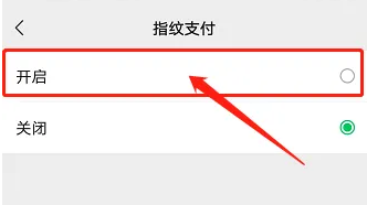 Как настроить оплату по отпечатку пальца в WeChat vivo X Fold+