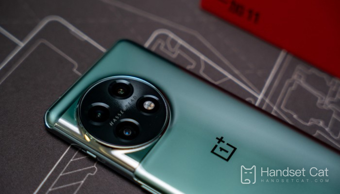 O OnePlus 11 vem com capa de telefone?