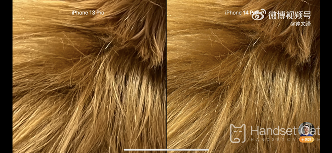 La netteté de l’appareil photo de l’iPhone 14 Pro est-elle améliorée ?