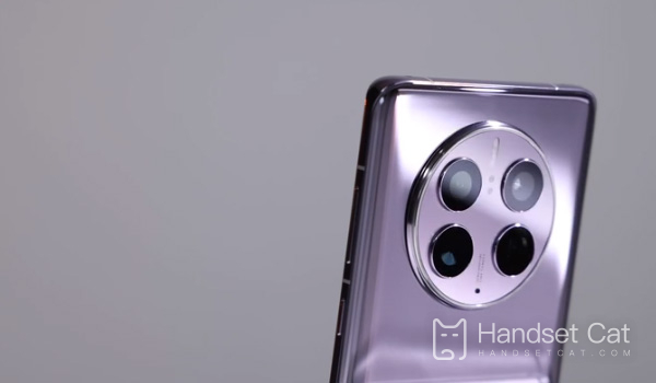 Huawei Mate 50E에는 안면 인식 기능이 있나요?