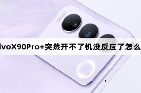 What should I do if my vivoX90Pro+ suddenly fails to turn on and becomes unresponsive?