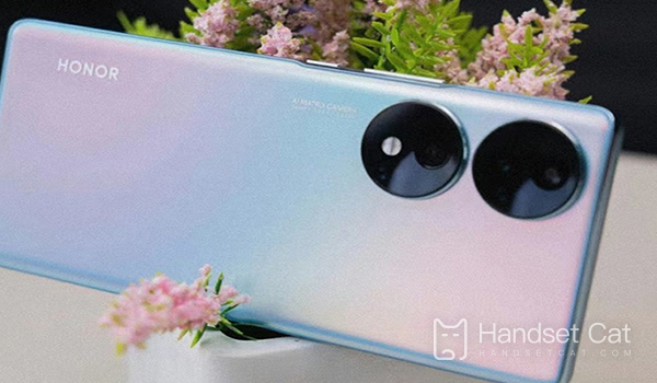 Dónde consultar el período de garantía de activación del Honor 80