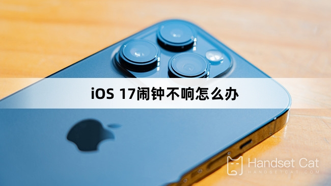 iOS 17에서 알람이 울리지 않으면 어떻게 해야 할까요?