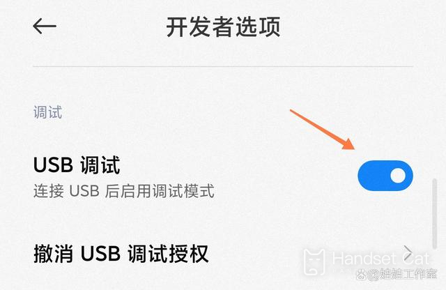 Xiaomi Mi 13 ProでUSBデバッグを有効にする方法