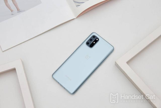 OnePlus 8T 배색 소개