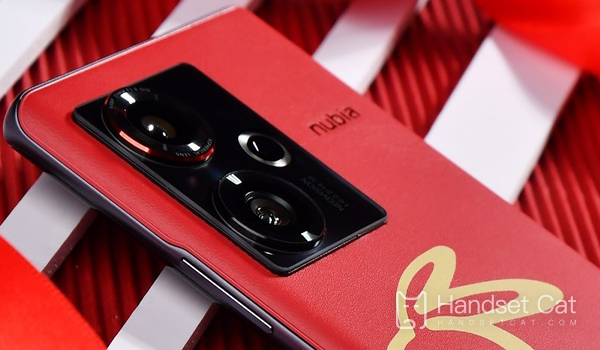 Nubia Z50 China Red Year of the Rabbit Limited Edition에는 듀얼 SIM 카드와 듀얼 대기 기능이 있습니까?