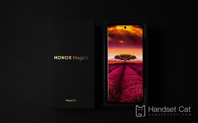 Honor Magic5 예약처