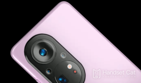 Is Huawei P60E all network connected
