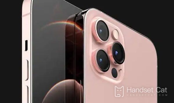 iPhone 14에서 측면 버튼 두 번 클릭 다운로드 기능을 끄는 방법에 대한 튜토리얼