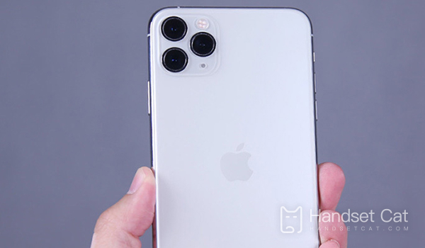 ¿El iPhone 11 Pro Max tiene doble tarjeta SIM y doble modo de espera?