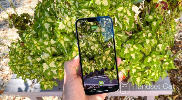 How to set the camera watermark of iPhone 13 promax