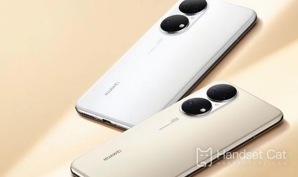 Welches System verwendet das Huawei p60pro?