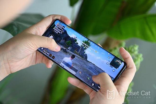How about taking photos of OPPO Reno6 Pro+