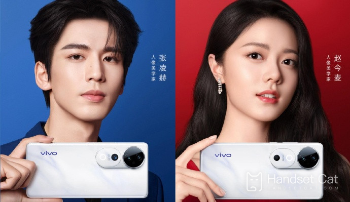 How much does it cost to replace the original lens of vivo S19?