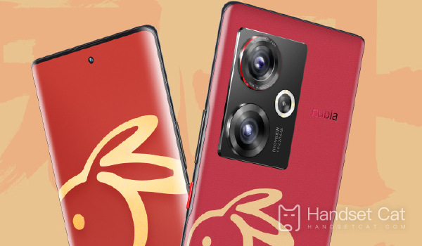 Nubia Z50 China Red Year of the Rabbit Limited Edition: разрешение экрана