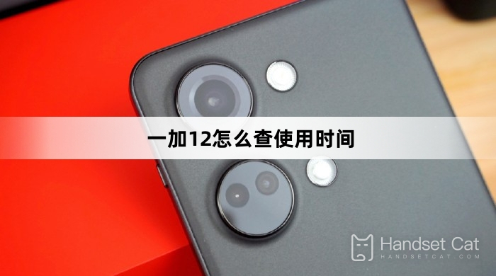 Cách kiểm tra thời gian sử dụng trên OnePlus 12