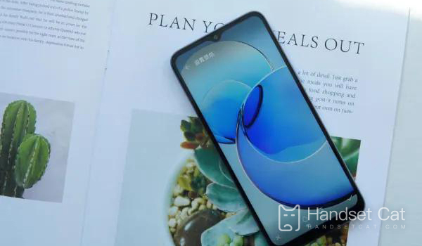 Honor Play6C có nhận dạng vân tay màn hình không?