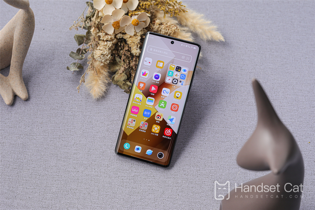 Differences between vivo X90 Pro and Redmi K60 Pro