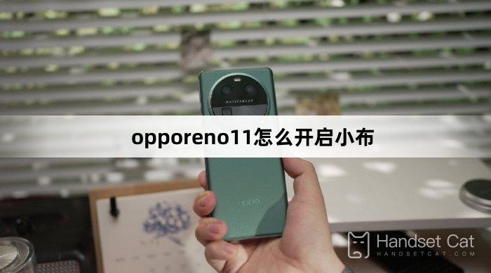 How to open Xiaobu in opporeno11
