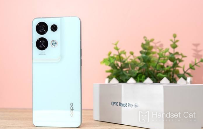 OPPO Reno8 pro+는 wifi6를 지원합니까?