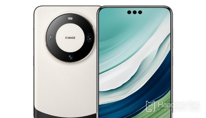 ¿Huawei Mate60Pro+ tiene función Smart Island?