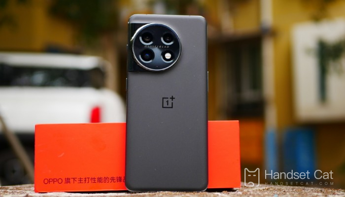 OnePlus Ace 2は国産スクリーンですか？