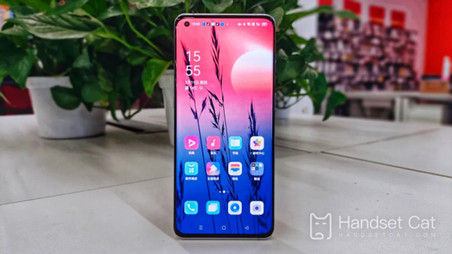 OPPO Find X3 có màn hình cong không?